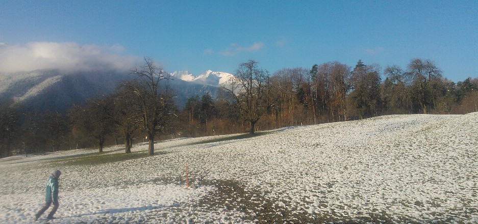 blick vom bärenhag