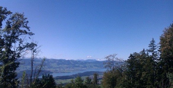 vom Atzmänniggrad sehen wir runter zum Zürichsee