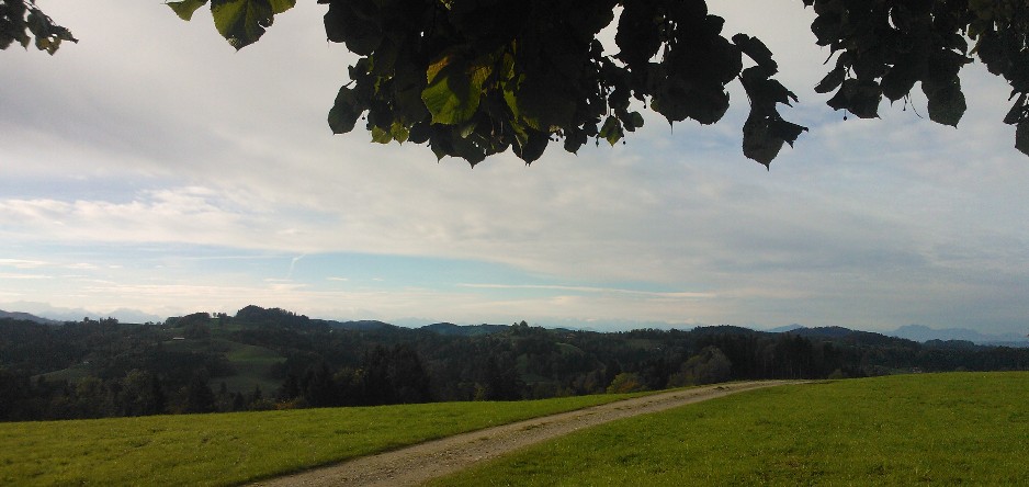 Obersädelegg mit baum