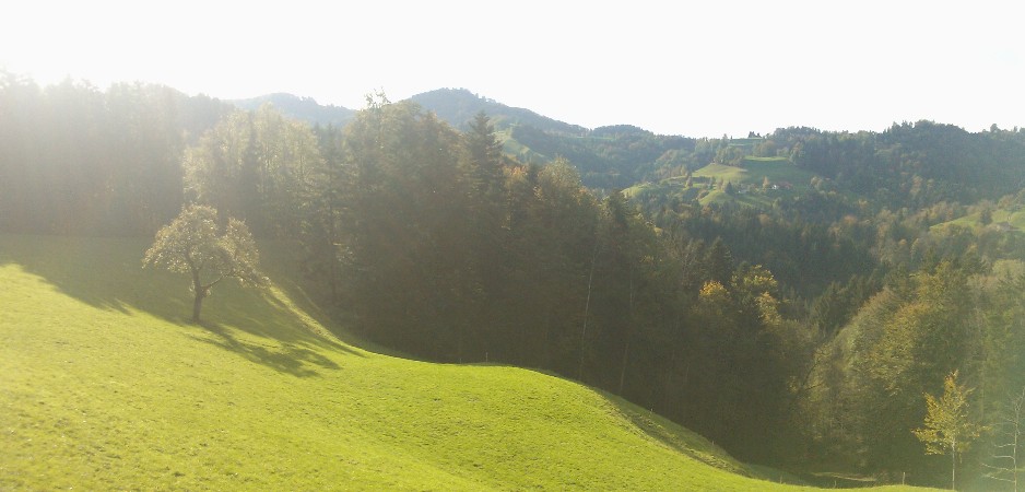 Blick Richtung Farner vom Gfell aus